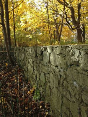 WardIsland wall in forest