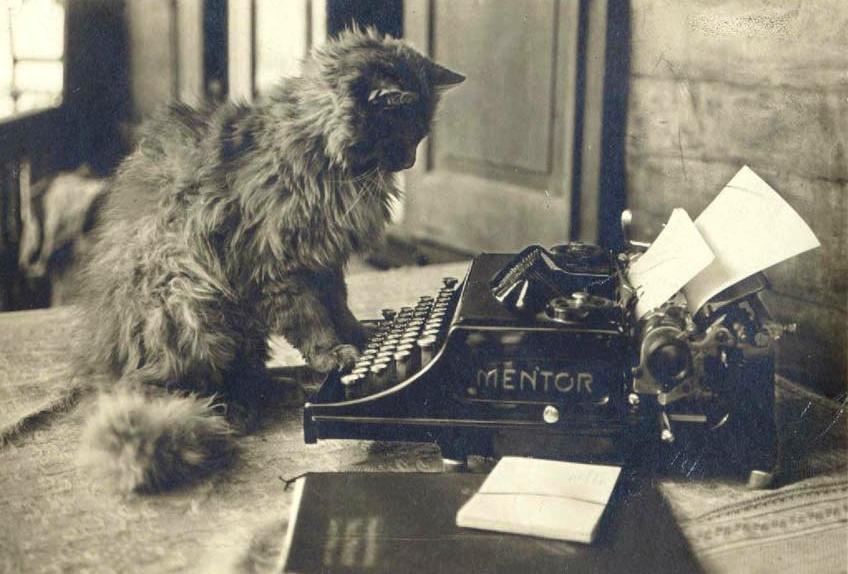 cat typewriter2