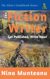 FictionWriter-front cover-2nd ed-web